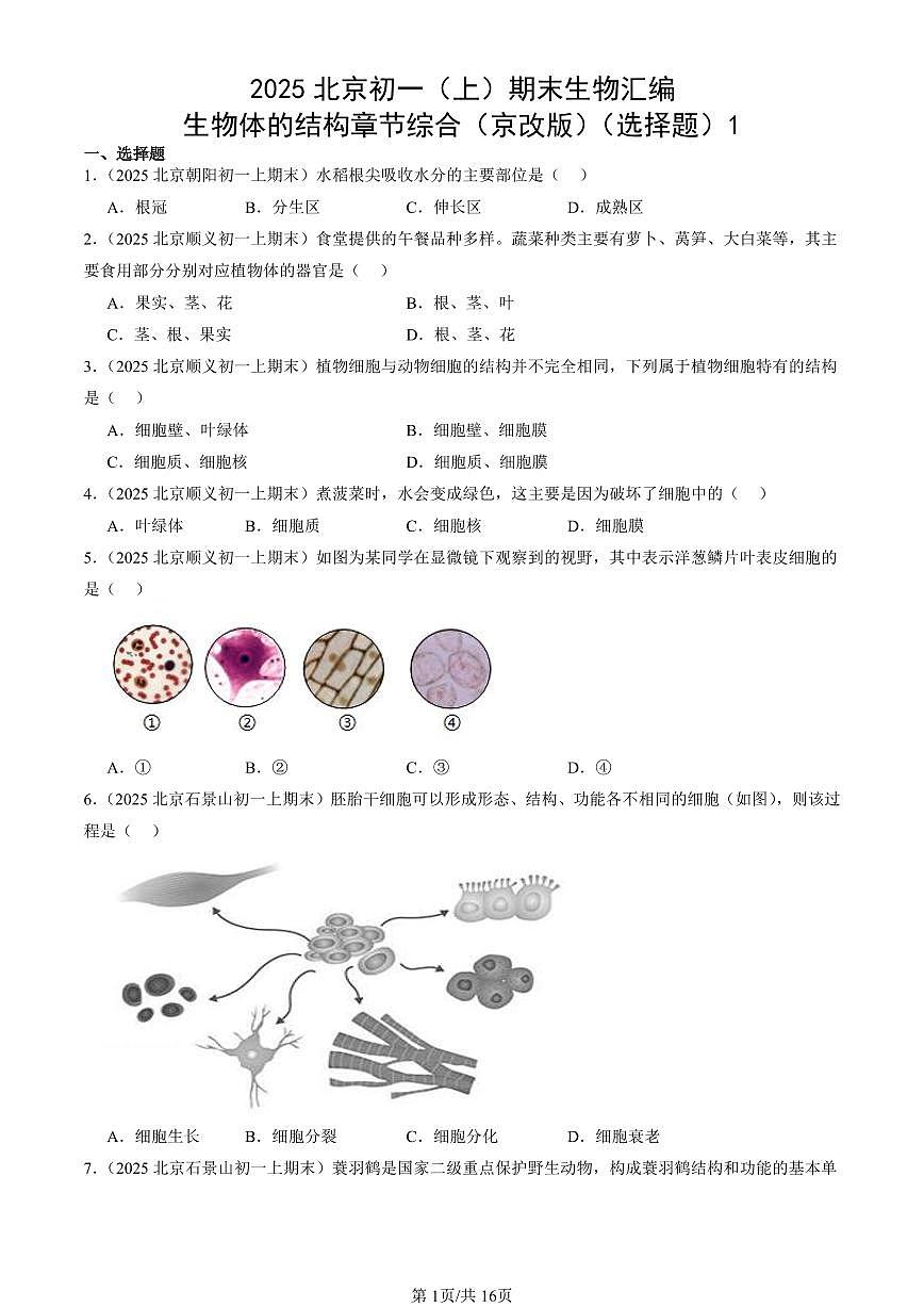 2025北京初一（上）期末真题生物汇编：生物体的结构章节综合（京改版）（选择题）1第1页