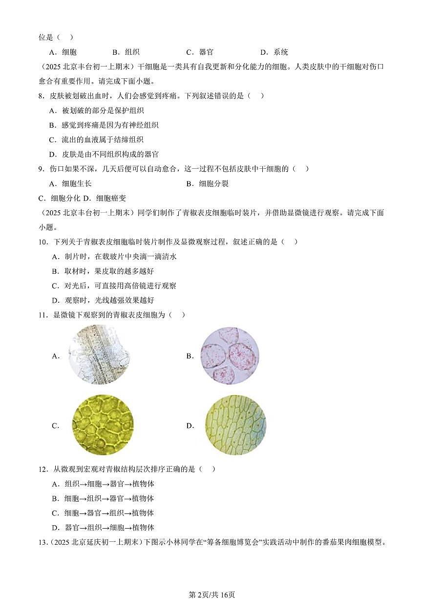 2025北京初一（上）期末真题生物汇编：生物体的结构章节综合（京改版）（选择题）1第2页