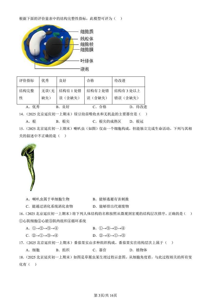2025北京初一（上）期末真题生物汇编：生物体的结构章节综合（京改版）（选择题）1第3页