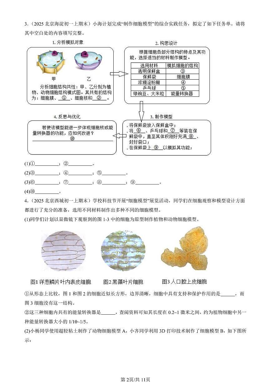 2025北京初一（上）期末真题生物汇编：生物体的结构章节综合（京改版）（非选择题）第2页