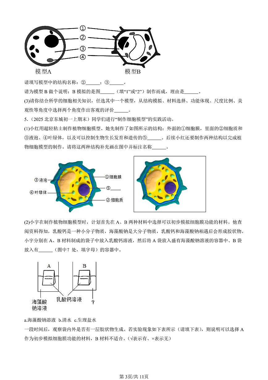 2025北京初一（上）期末真题生物汇编：生物体的结构章节综合（京改版）（非选择题）第3页
