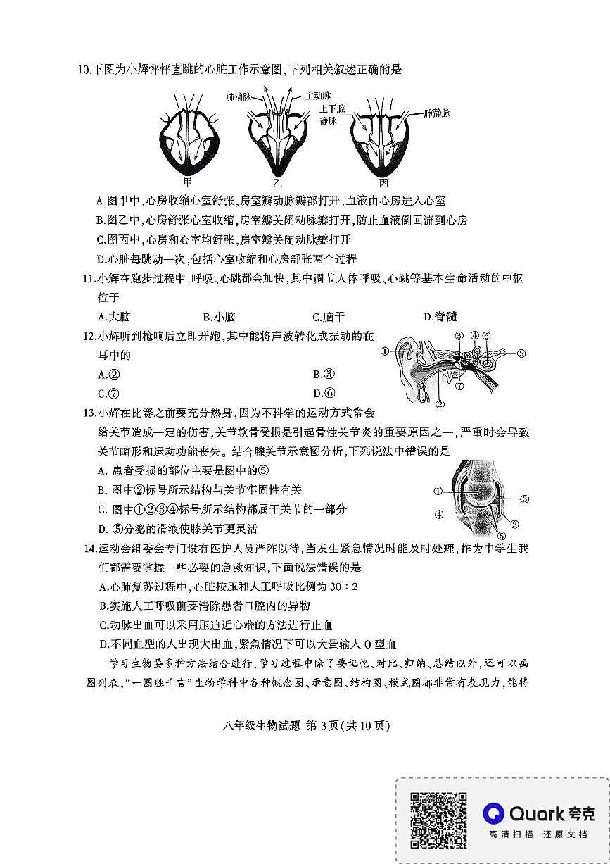 2025年山东省临沂市平邑县八年级一模生物试题（中考模拟）第3页