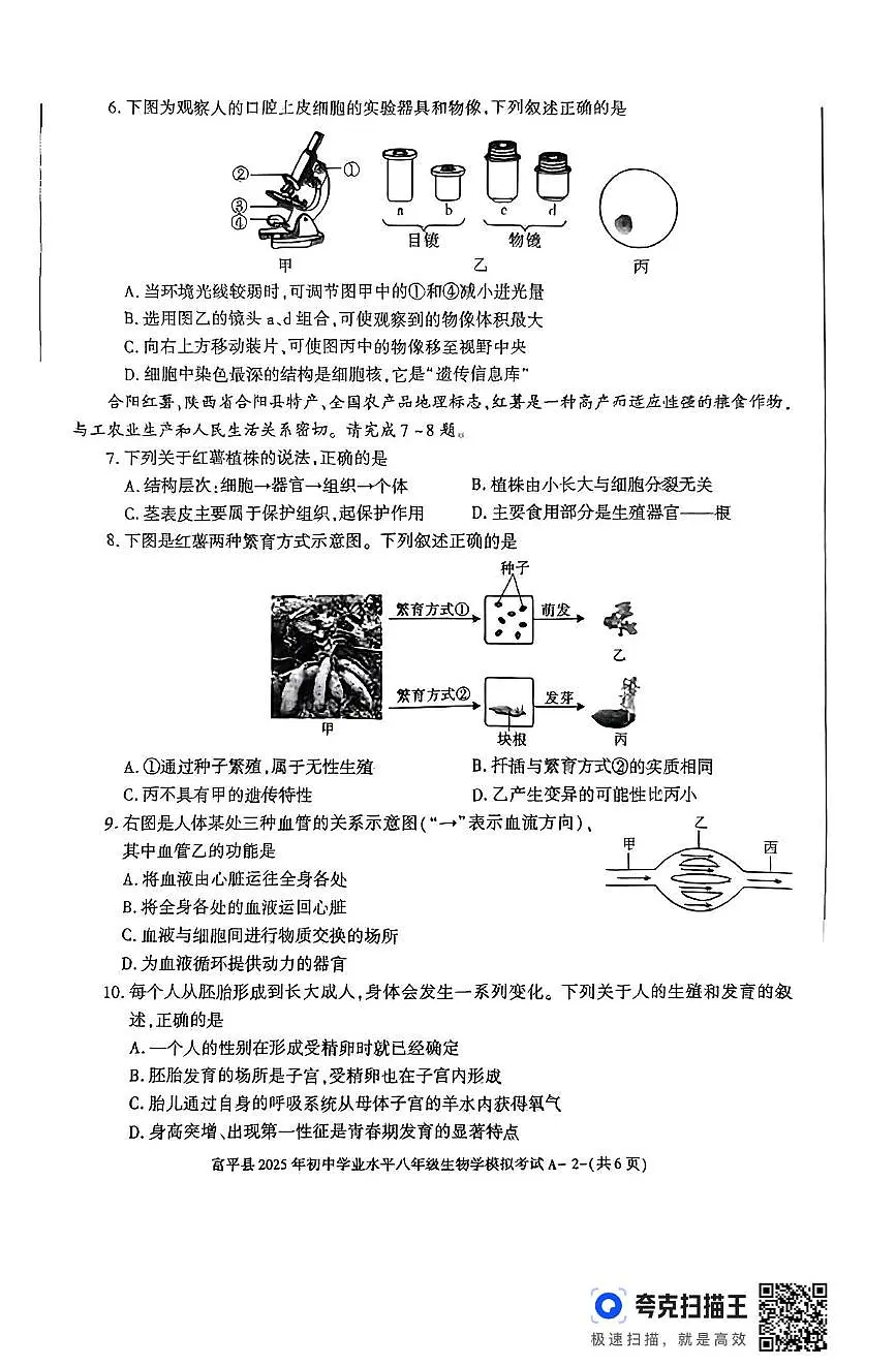 2025年陕西省渭南市富平县初中学业水平考试生物学试题（中考模拟）第2页