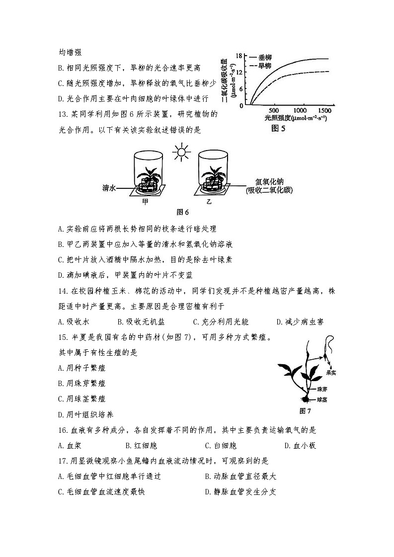 2025年北京市顺义区八年级一模生物试卷（中考模拟）(001)第3页