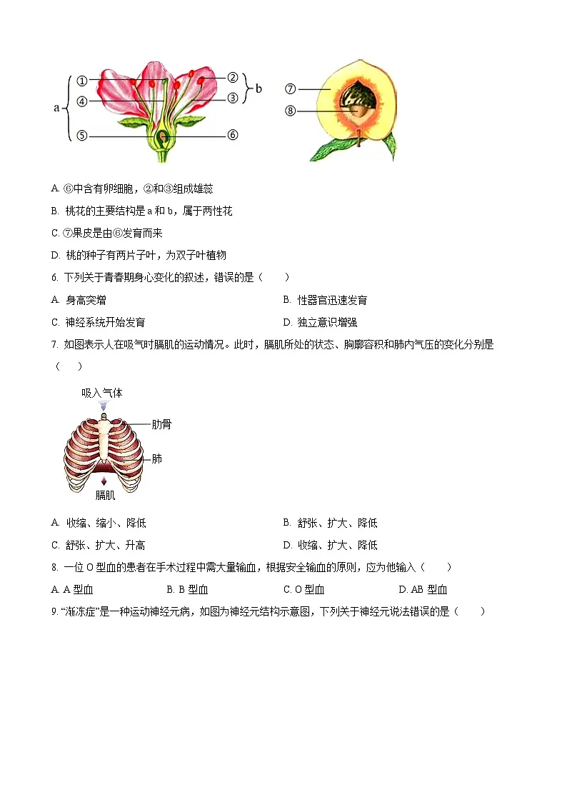2025年甘肃省武威市凉州区武威三中教研联九年级片一模生物试题（原卷版+解析版）（中考模拟）第2页