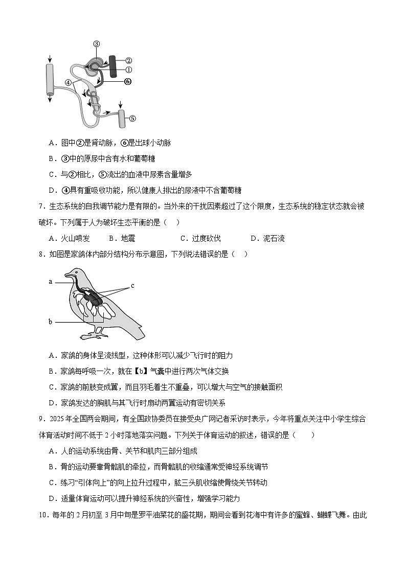 2025年甘肃省武威市凉州区武威十七中、十二中九年级二模生物试题（中考模拟）第2页