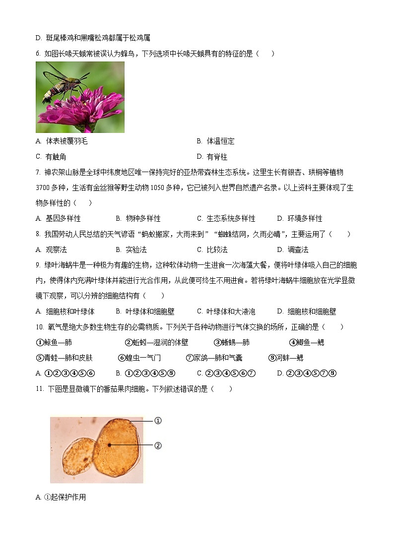 2025年海南省三亚市中考一模生物试题（原卷版+解析版）（中考模拟）第2页