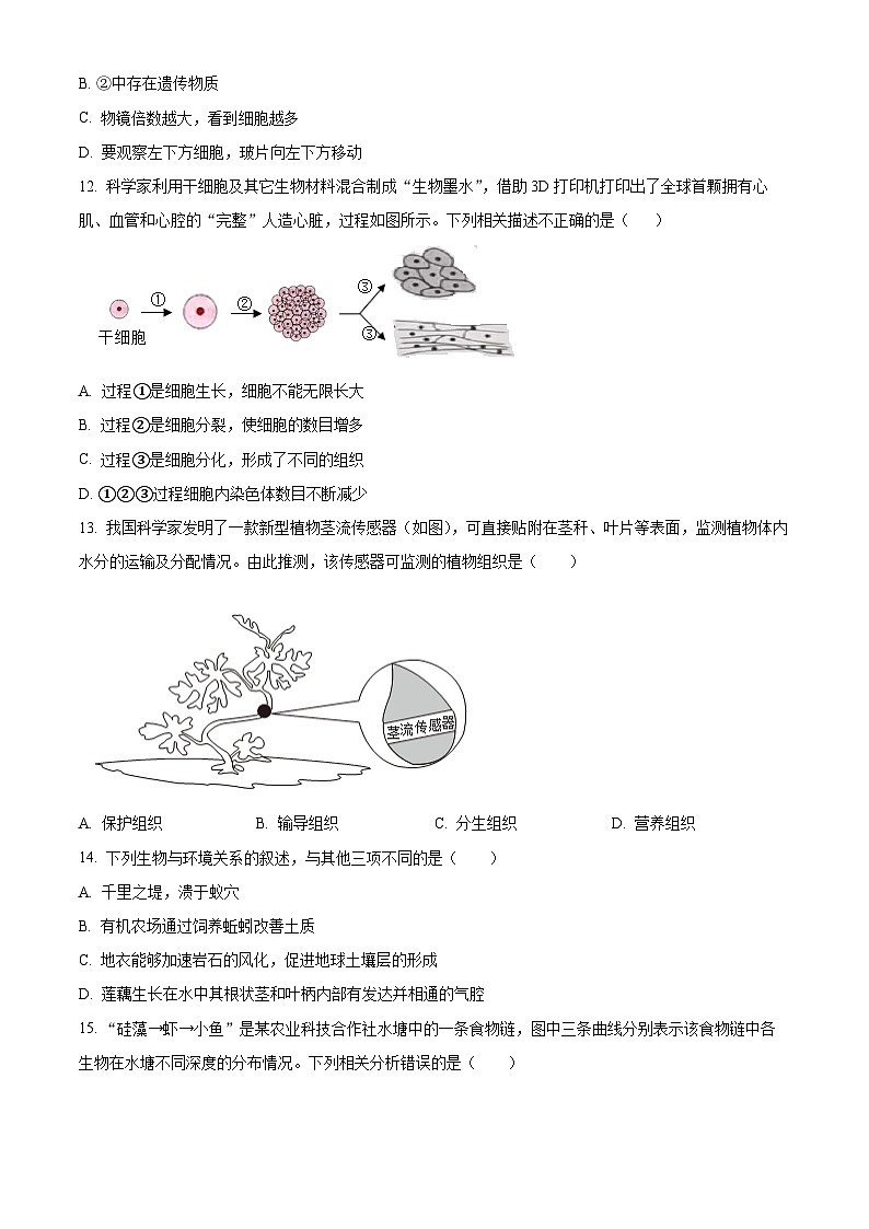 2025年海南省三亚市中考一模生物试题（原卷版+解析版）（中考模拟）第3页