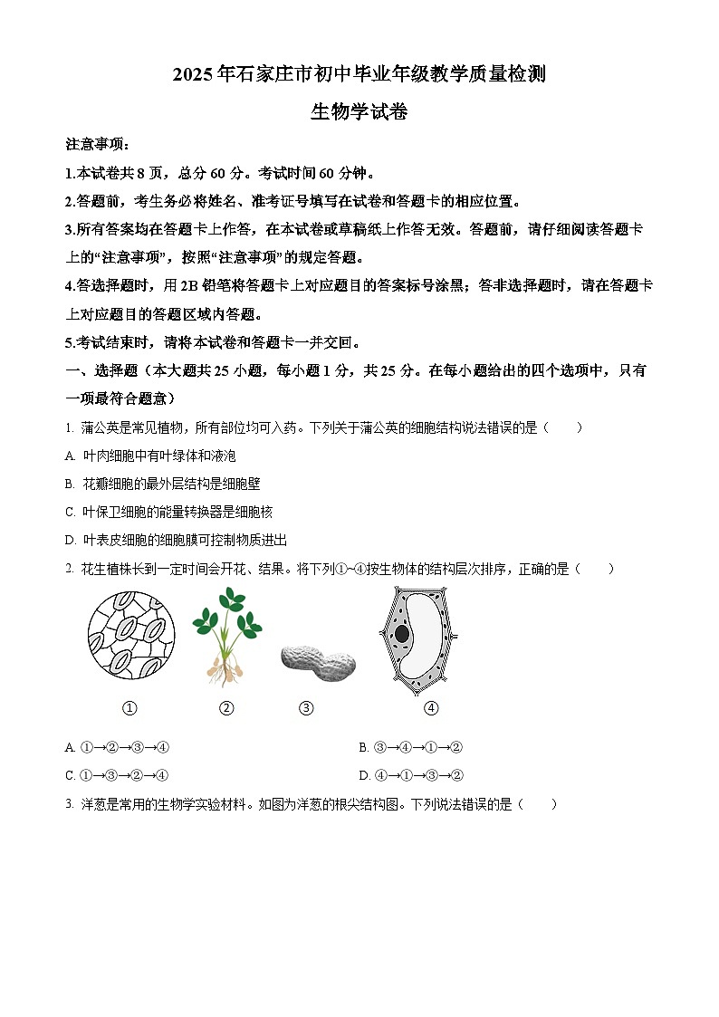 2025年河北省石家庄市八年级中考一模生物试题（原卷版+解析版）（中考模拟）第1页