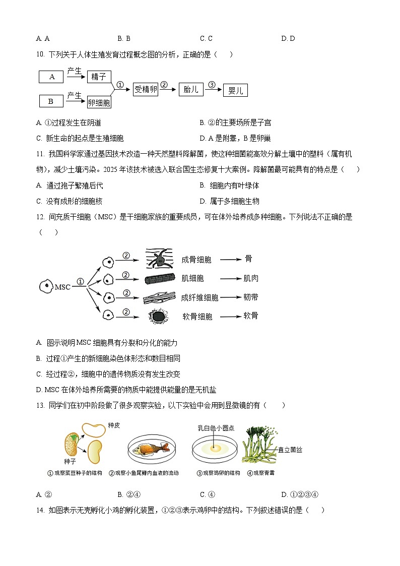 2025年山东省德州市乐陵市中考一模生物试题（原卷版+解析版）（中考模拟）第3页