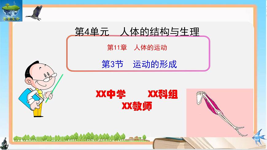11.3 运动的形成 2025学年七年级生物下册同步优质课件（北师大版2024）第1页