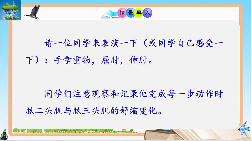 11.3 运动的形成 2025学年七年级生物下册同步优质课件（北师大版2024）第3页