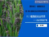 11.1 植物的光合作用（第2課時）（課件）2025學(xué)年七年級生物下冊蘇教版