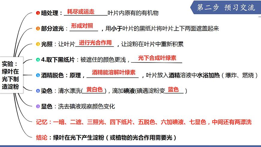 11.1 植物的光合作用（第2课时）（课件）2025学年七年级生物下册苏教版第3页
