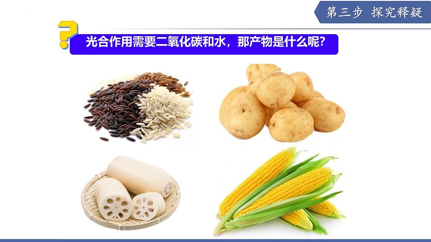 11.1 植物的光合作用（第2课时）（课件）2025学年七年级生物下册苏教版第4页