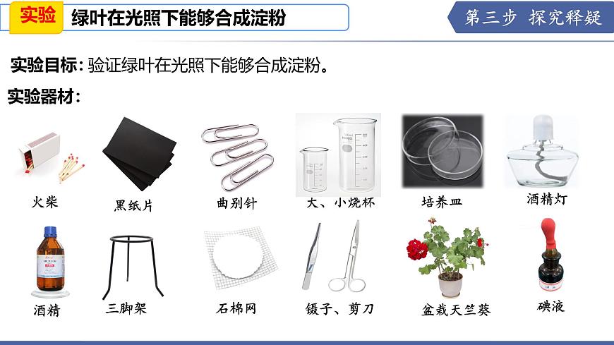 11.1 植物的光合作用（第2课时）（课件）2025学年七年级生物下册苏教版第5页