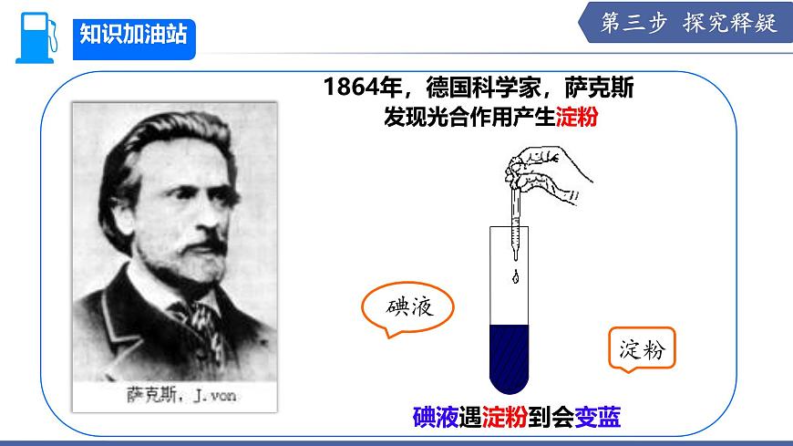 11.1 植物的光合作用（第2课时）（课件）2025学年七年级生物下册苏教版第6页