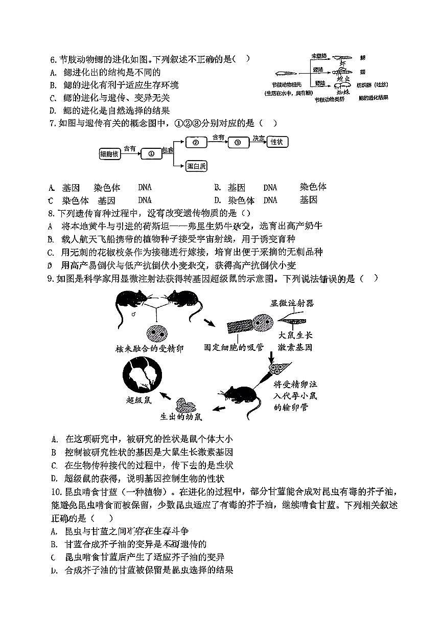 2025北京十二中初二（下）期中生物试卷第2页