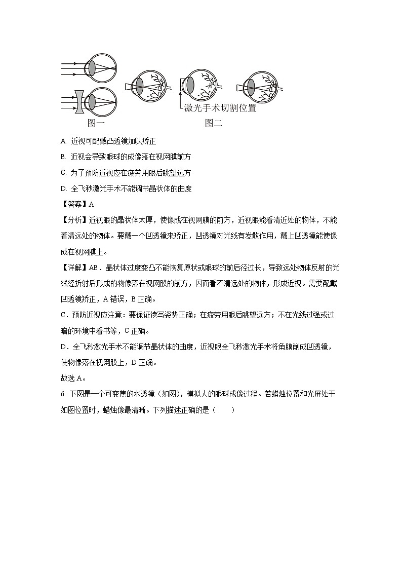 山东省烟台市栖霞市2023-2024学年七年级下学期期末生物试题（解析版）第3页