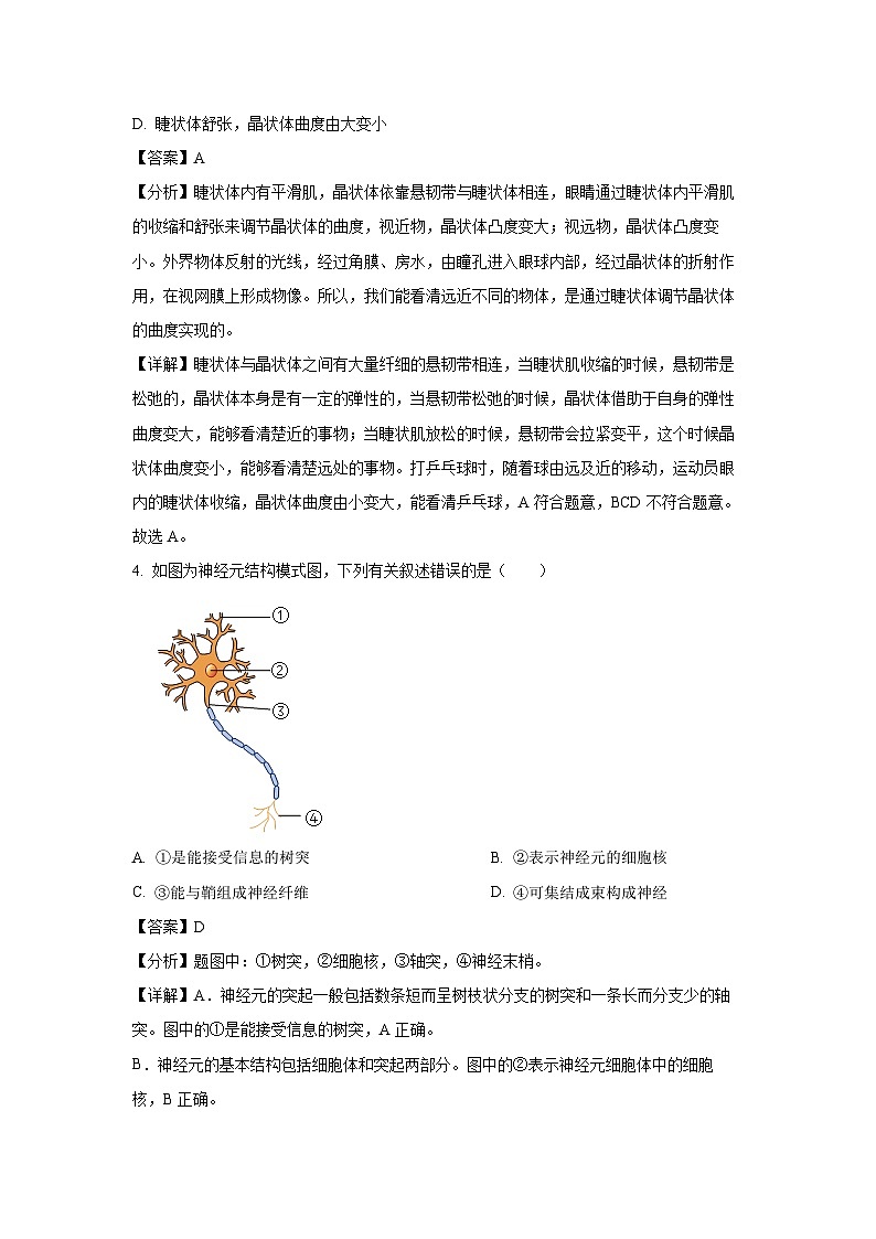 山东省烟台市开发区2023-2024学年七年级下学期期末生物试题（解析版）第2页