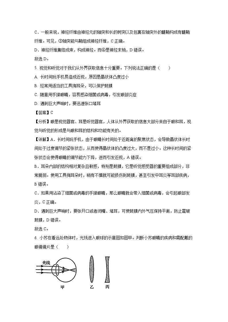 山东省烟台市开发区2023-2024学年七年级下学期期末生物试题（解析版）第3页