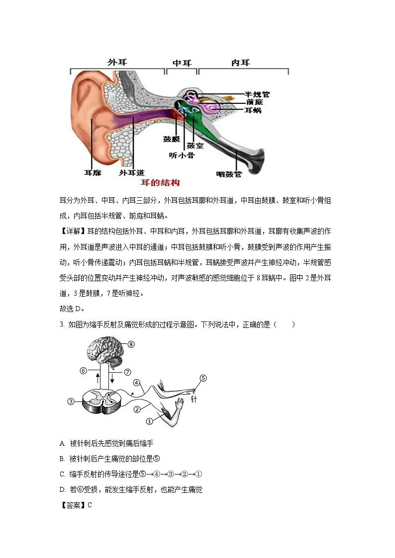 山东省威海市乳山市（五四制）2023-2024学年七年级下学期期末生物试题（解析版）第3页