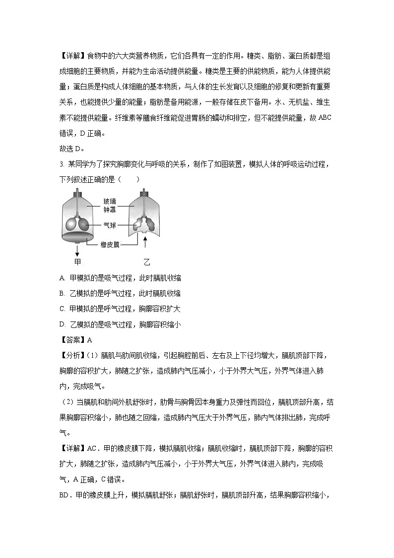 广西南宁市西乡塘区2023-2024学年七年级下学期期末生物试题（解析版）第2页