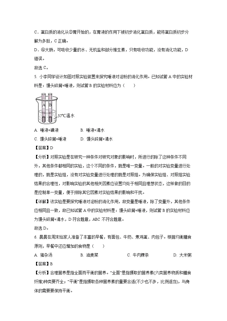 广东省揭阳市揭西县2023-2024学年七年级下学期期末生物试题（解析版）第3页