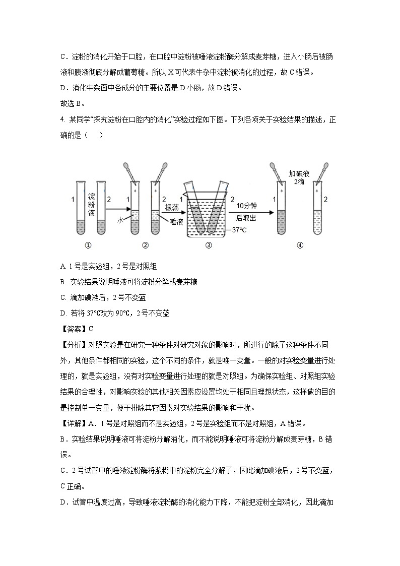 广东省惠州市博罗县2023-2024学年七年级下学期期末生物试题（解析版）第3页