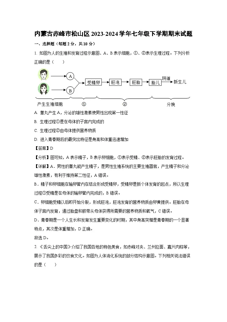 内蒙古赤峰市松山区2023-2024学年七年级下学期期末生物试题（解析版）第1页