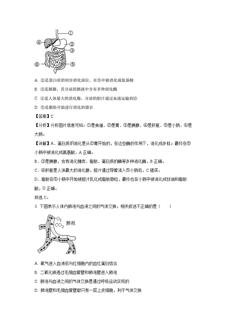 内蒙古赤峰市松山区2023-2024学年七年级下学期期末生物试题（解析版）第2页