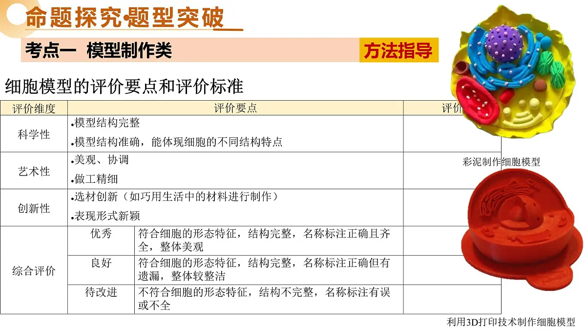 主题七+跨学科实践（二轮突破课件）2025年中考生物二轮复习讲练测（江苏专用）第6页