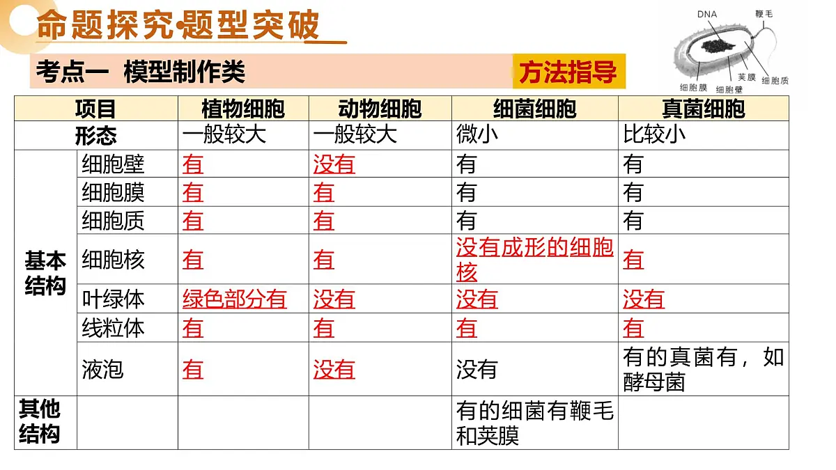 主题七+跨学科实践（二轮突破课件）2025年中考生物二轮复习讲练测（江苏专用）第7页