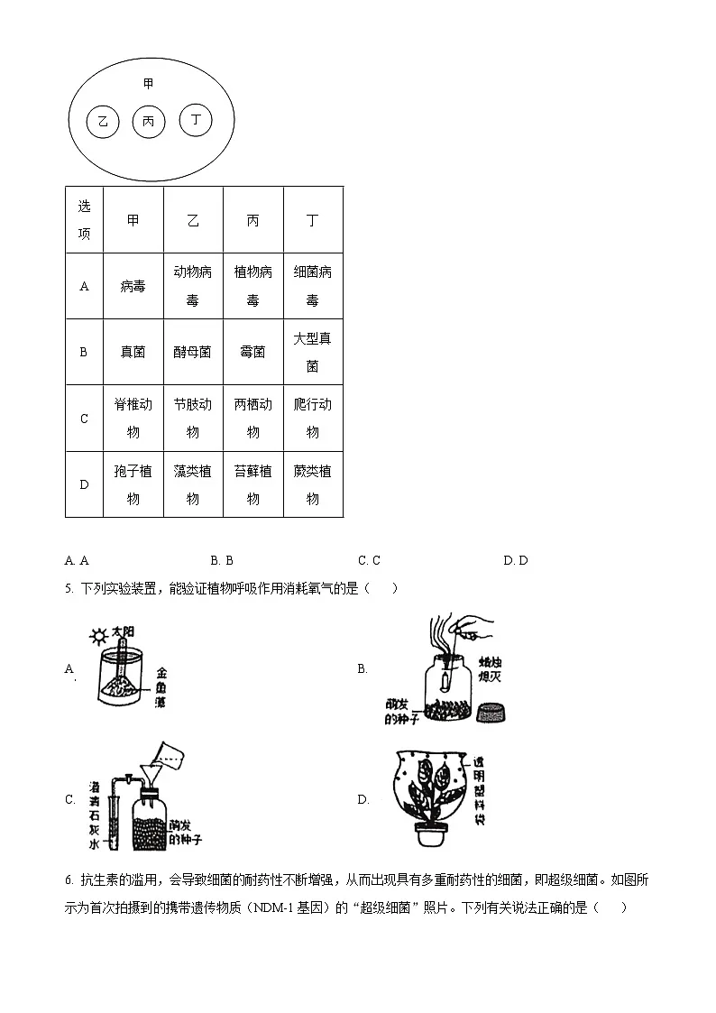 2025年山东省枣庄市山亭区八年级中考二模生物试题（中考模拟）第2页
