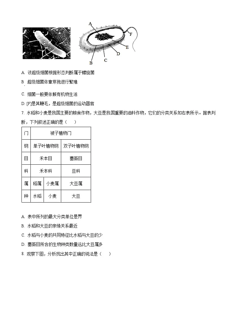 2025年山东省枣庄市山亭区八年级中考二模生物试题（中考模拟）第3页