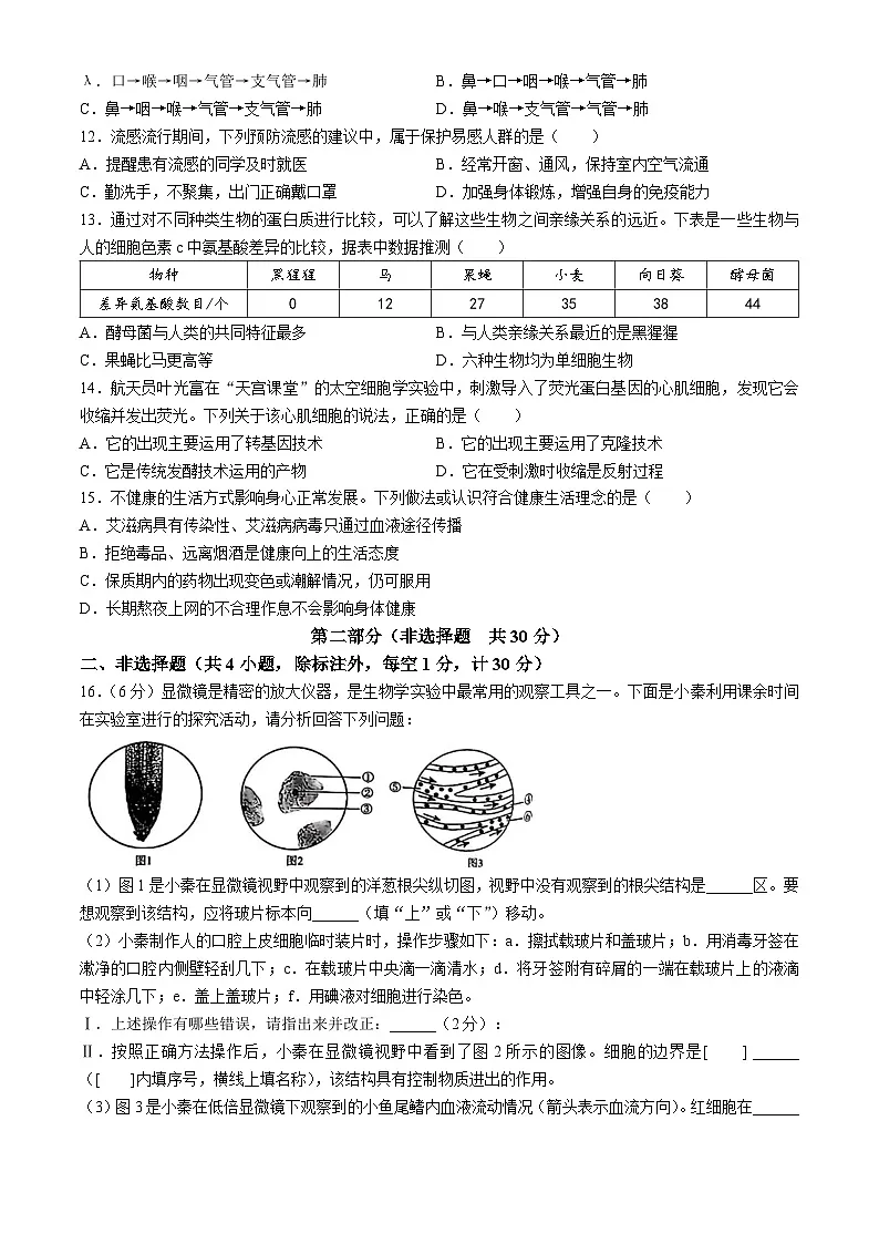2025年陕西省咸阳市武功县八年级中考一模生物试题（中考模拟）第3页