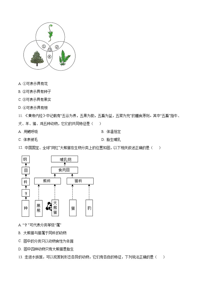 安徽省淮北市五校联考2024-2025学年八年级下学期期中生物试题（原卷版+解析版）第3页