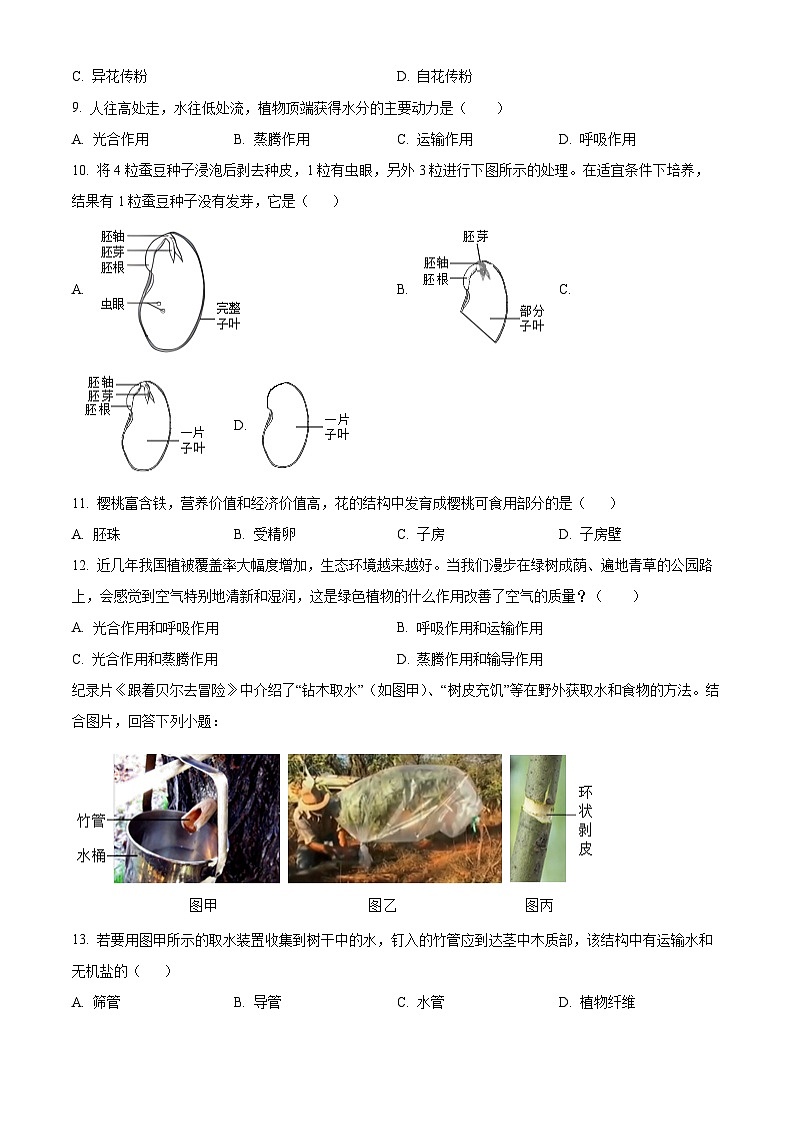 福建省永春第一中学2024-2025学年七年级下学期3月月考生物试题（原卷版+解析版）第2页