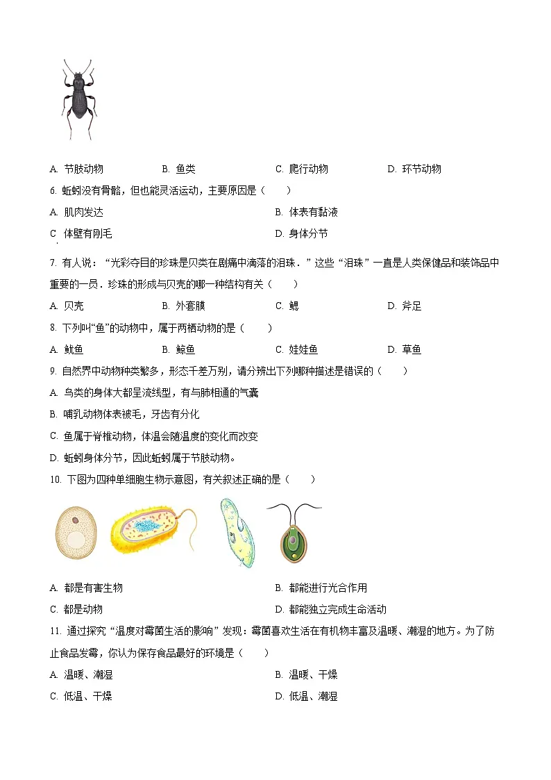广东省茂名市电白区2024-2025学年七年级上学期期末生物试题（原卷版+解析版）第2页