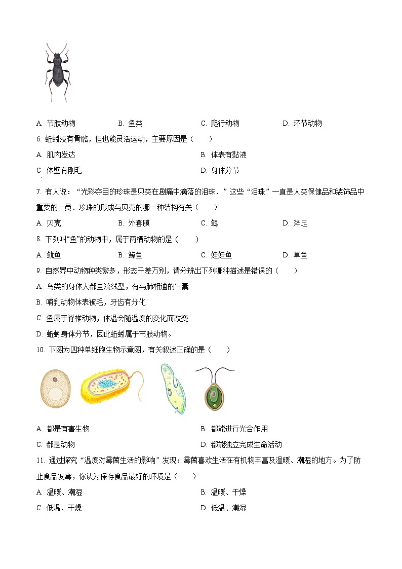 广东省茂名市电白区2024-2025学年七年级上学期期末生物试题（原卷版+解析版）第2页