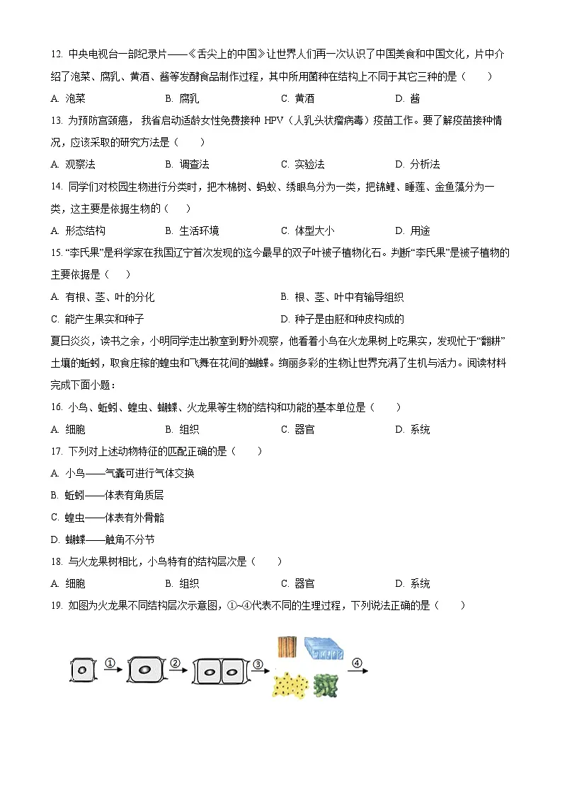广东省茂名市电白区2024-2025学年七年级上学期期末生物试题（原卷版+解析版）第3页