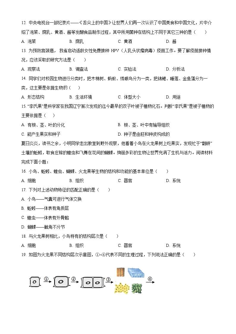 广东省茂名市电白区2024-2025学年七年级上学期期末生物试题（原卷版+解析版）第3页