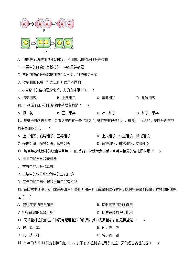 广东省梅州市兴宁市2024-2025学年七年级上学期期末生物试题（原卷版+解析版）第2页