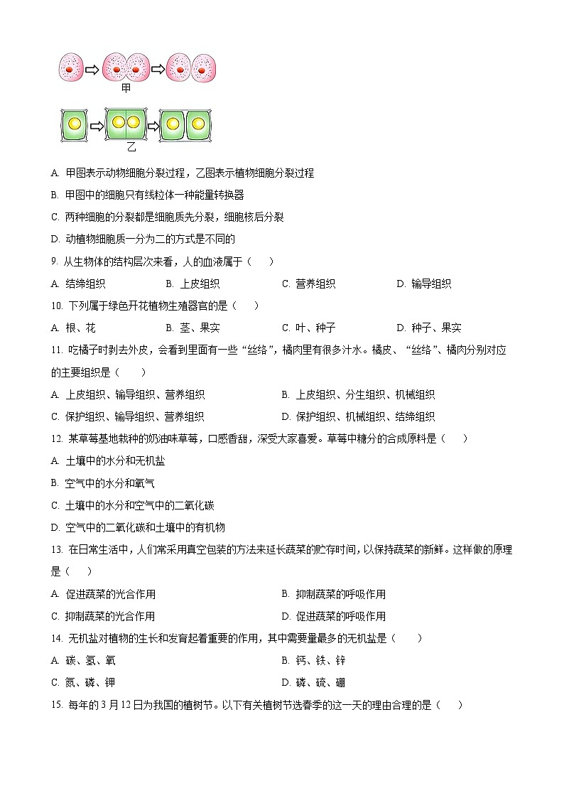 广东省梅州市兴宁市2024-2025学年七年级上学期期末生物试题（原卷版+解析版）第2页