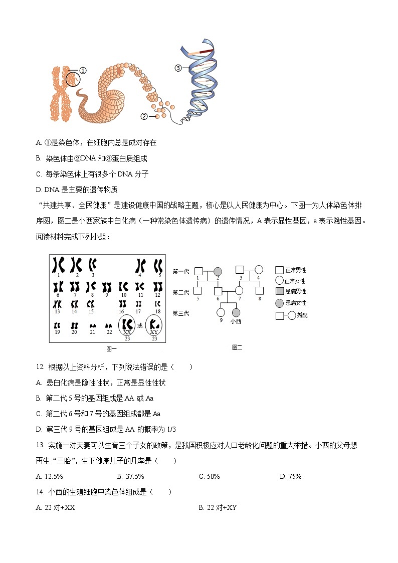 广东省中山市2024-2025学年八年级下学期3月月考生物试题（原卷版+解析版）第3页