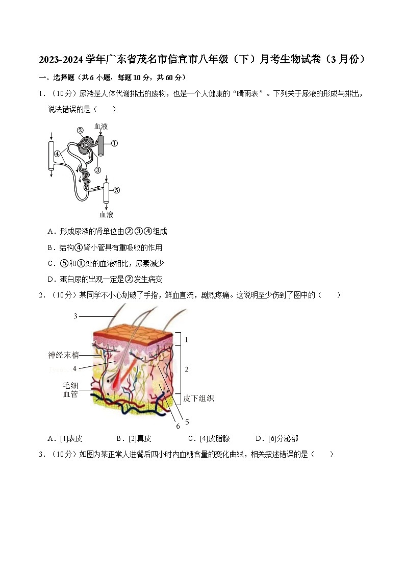 广东省茂名市信宜市2023-2024学年八年级下学期3月份月考生物试卷+第1页