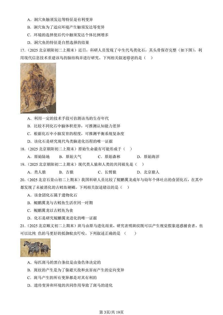 2025北京初二（上）期末真题生物汇编：生命的起源和生物的进化章节综合（京改版）第3页