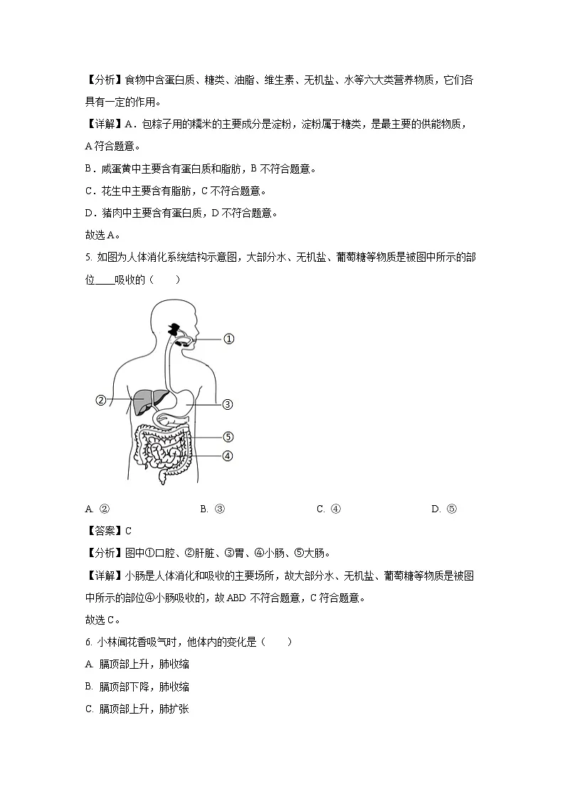 甘肃省陇南市康县2023-2024学年七年级下学期期末生物试卷（解析版）第3页