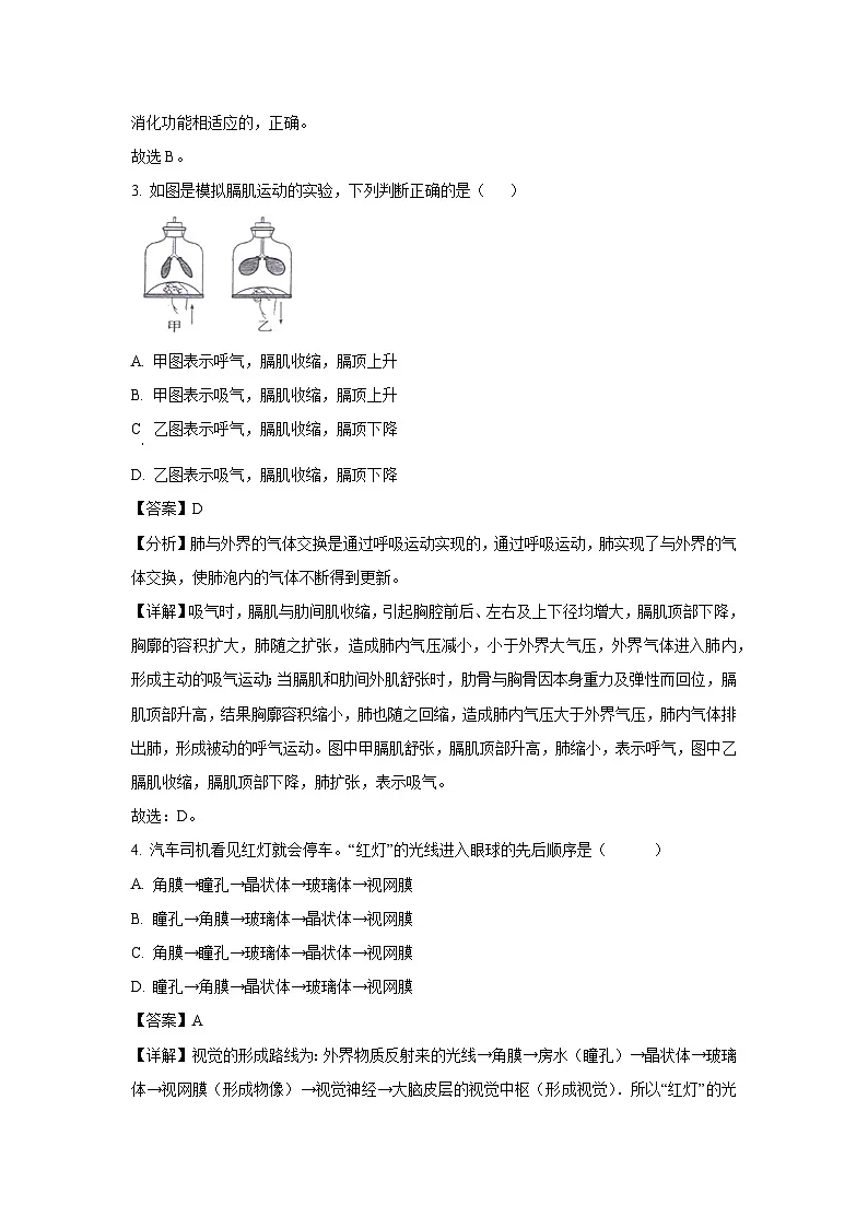 河北省廊坊市三河市2023-2024学年七年级下学期期末生物试卷（解析版）第2页