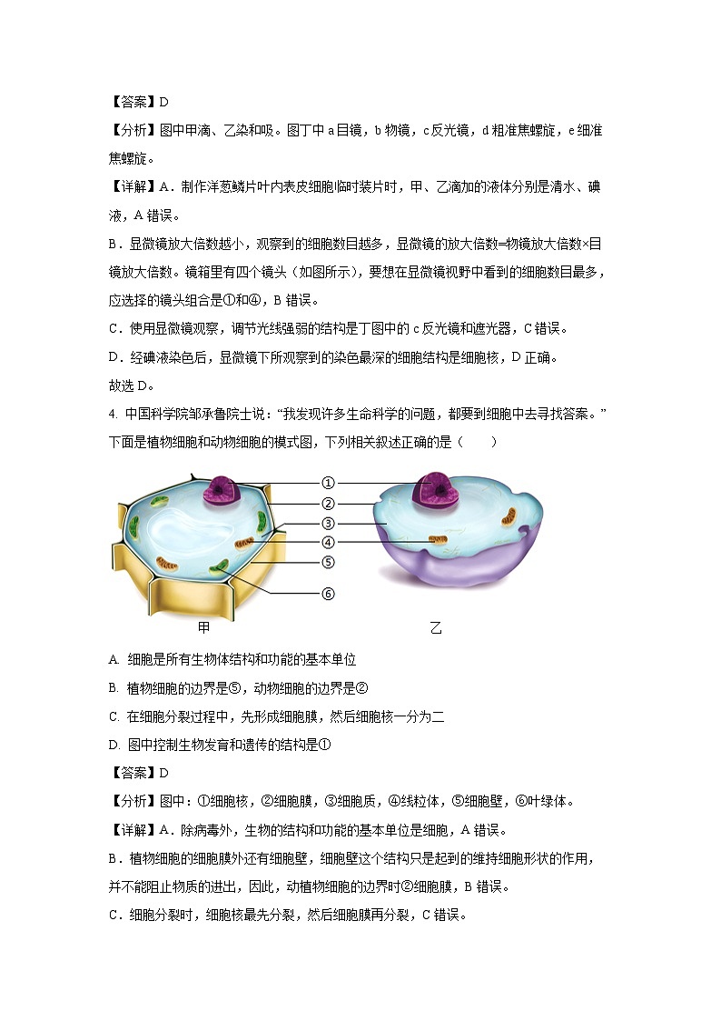 山东省济宁市任城区2024-2025学年八年级中考一模[中考模拟]生物试卷（解析版）第3页
